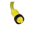 Remke Mini-Link Plug Assembly PVC Female 3-Pole 6 Foot 16 AWG (103A0060AP)