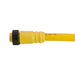 Remke Mini-Link Plug Assembly PVC Female 7-Pole 20 Foot 16 AWG (107A0200AP)
