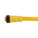 Remke Mini-Link Plug Assembly PVC Female 7-Pole 3 Foot 16 AWG (107A0030AP)