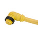 Remke Mini-Link Plug Assembly PVC Female 90 Degree 10-Pole 12 Foot 16 AWG (110C0120AP)