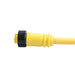 Remke Mini-Link Plug Assembly PVC Male 3-Pole 6 Foot 16 AWG (103B0060AP)