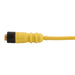 Remke Single Key M12 Micro-Link Plug Assembly PUR Braided Female 4-Pole 16.4 Foot 22 AWG (504A0164AL)