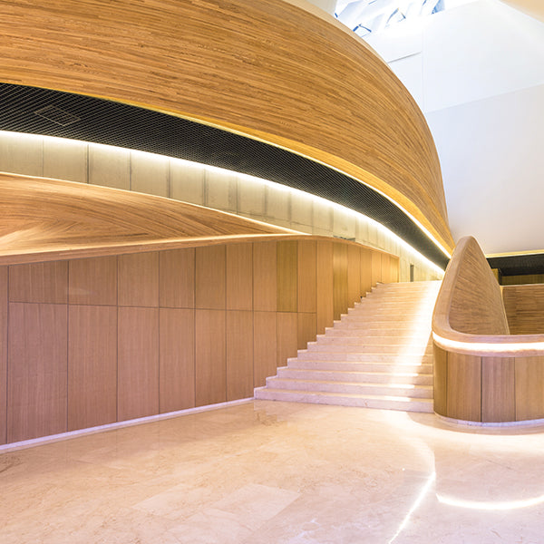 specialtyLED Ribbon Flex White 5000K 164 Foot 120V SMD3056 (RFX120-5K-164-3056)