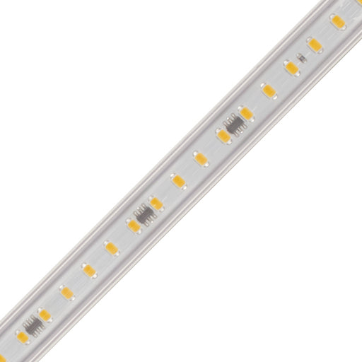 specialtyLED Ribbon Flex White 5000K 164 Foot 120V SMD3056 (RFX120-5K-164-3056)