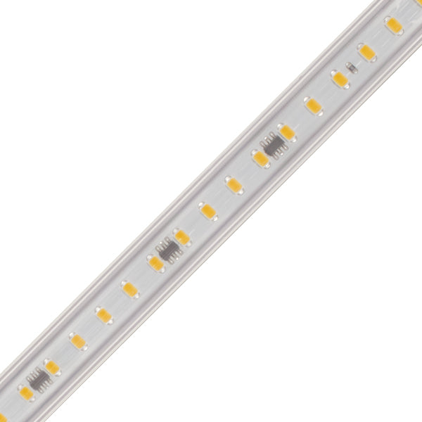 specialtyLED Ribbon Flex White 5000K 164 Foot 120V SMD3056 (RFX120-5K-164-3056)