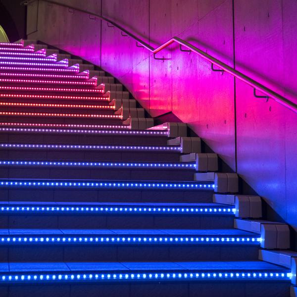 specialtyLED Ribbon Flex RGB 164 Foot 120V SMD3535 (RFX120-RGB-164-3535)