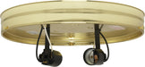 SATCO/NUVO 10 Inch 2-Light Ceiling Pan Brass Finish Includes Hardware 60W Maximum (90-766)