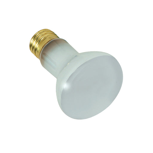 SATCO/NUVO 100R20FL/POOL 100W R20 Incandescent Frost 2000 Hours 1000Lm Medium Base 12V 2700K (S7002)
