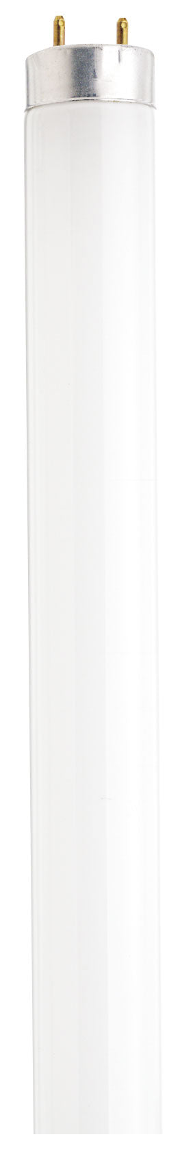 SATCO/NUVO 17W T8 Fluorescent 3000K Warm White 82 CRI Medium Bi-Pin Base Shatterproof (S6523-TF)