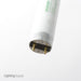 SATCO/NUVO 25W T8 Fluorescent 3000K Warm White 75 CRI Medium Bi-Pin Base Shatterproof (S6526-TF)