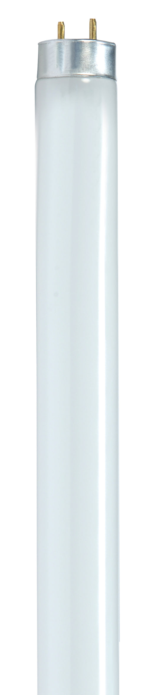 SATCO/NUVO 25W T8 Fluorescent 6500K Daylight 85 CRI Medium Bi-Pin Base Shatterproof (S8442-TF)