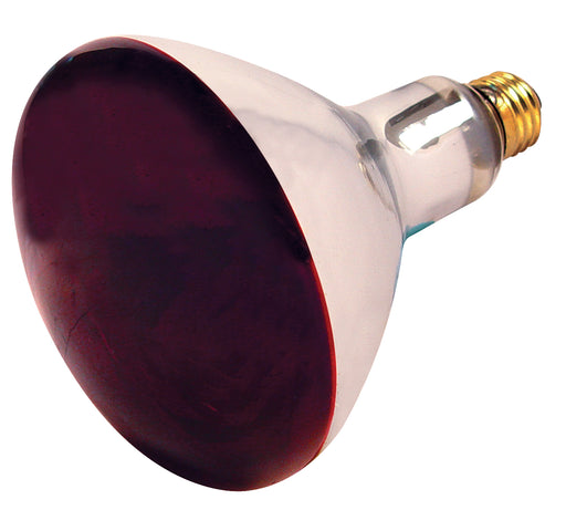 SATCO/NUVO 250R40/HR 250W R40 Incandescent Red Heat 6000 Hours Medium Base 120V (S4998)