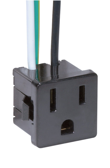 SATCO/NUVO 3 Wire 2 Pole Snap-In Convenience Outlet Opening Size 1 Inch X 1 Inch X 1 Inch Rated 15A-125V (80-1142)