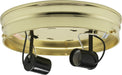 SATCO/NUVO 8 Inch 2-Light Ceiling Pan Brass Finish Includes Hardware 60W Maximum (90-876)