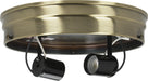 SATCO/NUVO 8 Inch 2-Light Ceiling Pan Antique Brass Finish Includes Hardware 60W Maximum (90-877)