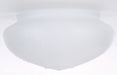 SATCO/NUVO Etched Glass Shade Grape Design 7 Inch X 6 Inch 5-9/16 Inch Diameter 6 Inch Fitter 3-3/4 Inch Height (50-109)
