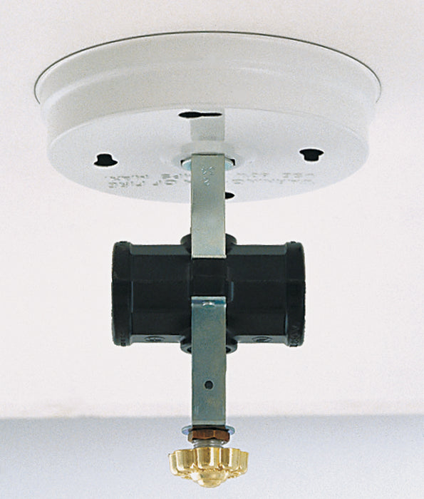SATCO/NUVO Twin Cluster Ceiling Holder With Switch (S70-234)