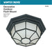 SATCO/NUVO 1-Light 12 Inch Ceiling Spider Cage Fixture Die Cast Glass Lens Color Retail Packaging (60-3452)