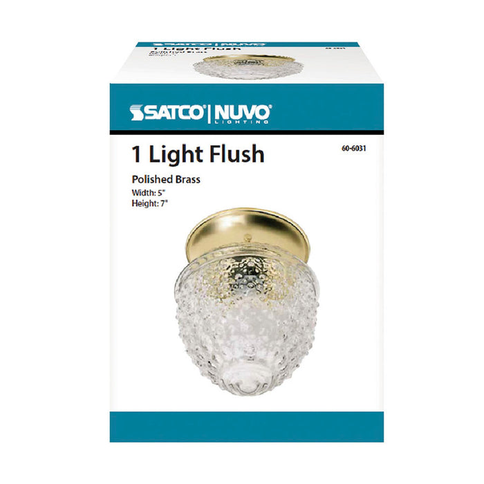 SATCO/NUVO 1-Light 6 Inch Ceiling Fixture Clear Pineapple Glass Color Retail Packaging (60-6031)