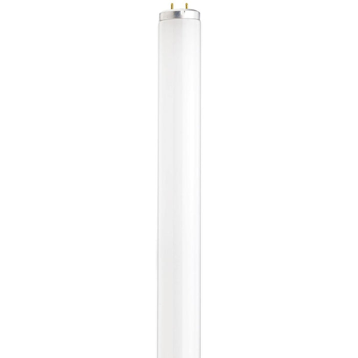 SATCO/NUVO 14W T12 Preheat Fluorescent 4100K Cool White 80 CRI Medium Bi-Pin (S26559)