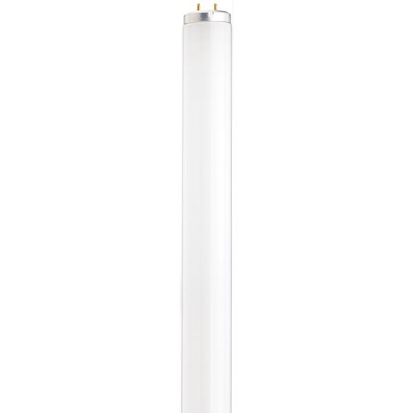 SATCO/NUVO 15W Fluorescent T12 3000K Medium Bi-Pin Base (S26564)