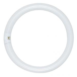 SATCO/NUVO HyGrade 22W T9 Circline Fluorescent 3000K Warm White 52 CRI 4-Pin Base (S6502)