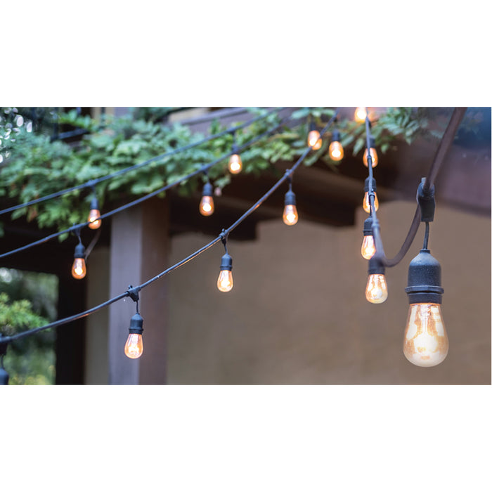SATCO/NUVO 24 Foot LED String Light Includes 12-Light Filament LED Bulbs With Plug (S8020)