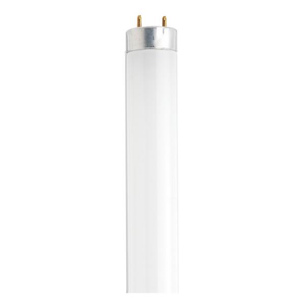 SATCO/NUVO 30W Cool White Linear Fluorescent Bulb T8 Medium Bi-Pin G13 2100Lm 4100K (S26517)