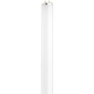 SATCO/NUVO 40W T12 Fluorescent 4100K Cool White 87 CRI Medium Bi-Pin Base (S2927)