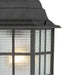 SATCO/NUVO Adams 1-Light 16 Inch Outdoor Hanging With Frosted Glass (60-4913)