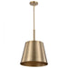 SATCO/NUVO Alexis 1-Light Large Pendant 100W Maximum 120V Burnished Brass And Gold Finish (60-7938)