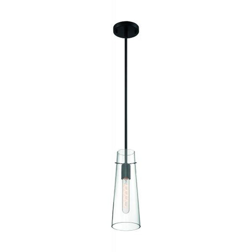 SATCO/NUVO Alondra 1-Light Mini Pendant Fixture Black Finish With Clear Glass (60-6880)