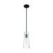 SATCO/NUVO Alondra 1-Light Mini Pendant Fixture Black Finish With Clear Glass (60-6880)