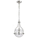 SATCO/NUVO Amado 1 Light Pendant 10 Inch Polished Nickel Finish Clear Glass (60-7816)