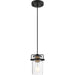 SATCO/NUVO Antebellum 1-Light Miniature Pendant Fixture Black And Aged Gold Finish With Clear Glass (60-6733)