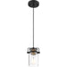 SATCO/NUVO Antebellum 1-Light Miniature Pendant Fixture Black And Aged Gold Finish With Clear Glass (60-6733)