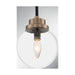 SATCO/NUVO Axis 1-Light Pendant Fixture Matte Black Finish With Brass Accents Clear Glass (60-7121)