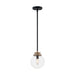 SATCO/NUVO Axis 1-Light Pendant Fixture Matte Black Finish With Brass Accents Clear Glass (60-7121)