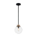 SATCO/NUVO Axis 1-Light Pendant Fixture Matte Black Finish With Brass Accents Clear Glass (60-7121)