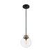 SATCO/NUVO Axis 1-Light Pendant Fixture Matte Black Finish With Brass Accents Clear Glass (60-7121)