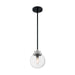 SATCO/NUVO Axis 1-Light Pendant Fixture Matte Black Finish With Brushed Nickel Accents Clear Glass (60-7131)