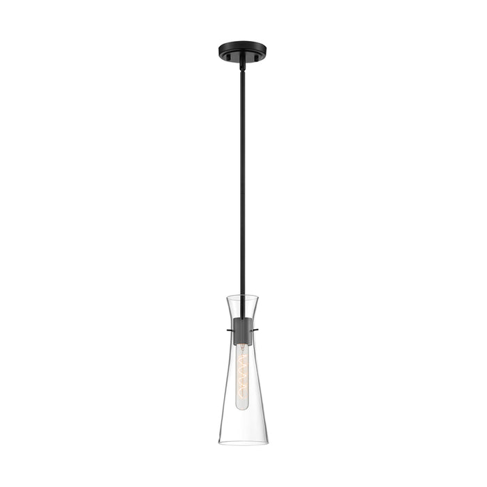 SATCO/NUVO Bahari 1-Light Mini Pendant Fixture Black Finish With Clear Glass (60-6878)