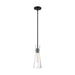 SATCO/NUVO Bahari 1-Light Mini Pendant Fixture Black Finish With Clear Glass (60-6878)