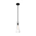 SATCO/NUVO Bahari 1-Light Mini Pendant Fixture Black Finish With Clear Glass (60-6878)