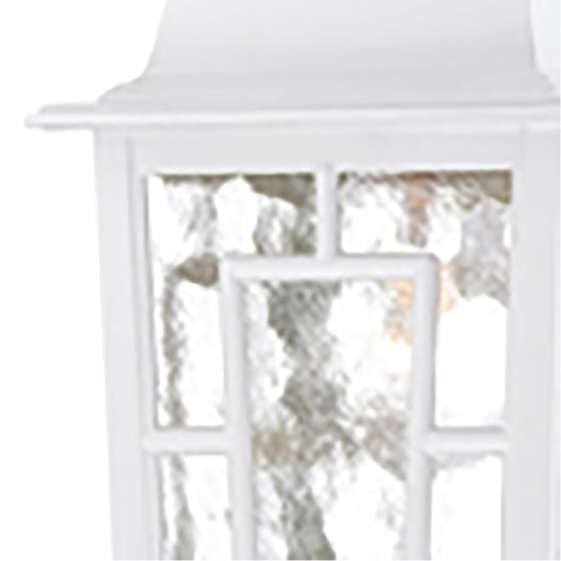 SATCO/NUVO Banyan 1-Light 11 Inch Outdoor Hanging With Clear Water Glass (60-4931)