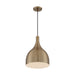 SATCO/NUVO Bellcap 1-Light Large Pendant Fixture Burnished Brass Finish (60-7077)