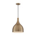 SATCO/NUVO Bellcap 1-Light Large Pendant Fixture Burnished Brass Finish (60-7077)