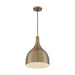 SATCO/NUVO Bellcap 1-Light Large Pendant Fixture Burnished Brass Finish (60-7077)