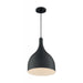 SATCO/NUVO Bellcap 1-Light Large Pendant Fixture Matte Black Finish (60-7087)