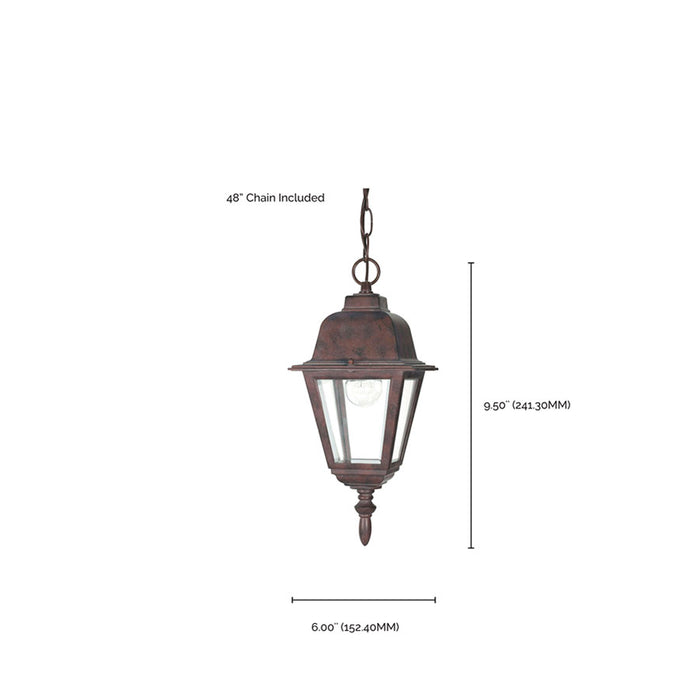 SATCO/NUVO Briton 1-Light 10 Inch Hanging Lantern With Clear Glass (60-488)